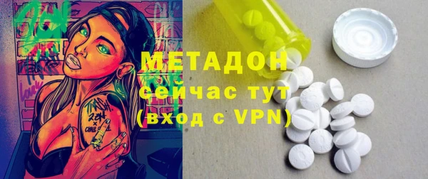 индика Нягань