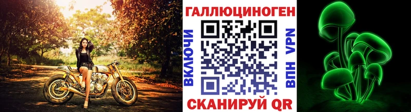сколько стоит  Сольцы  Псилоцибиновые грибы Psilocybine cubensis 
