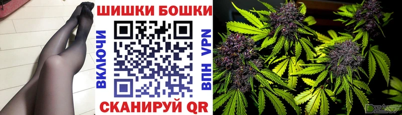 Бошки Шишки семена  Сольцы 